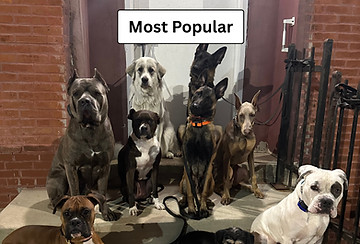 Add a subheading (1)_edited.jpg