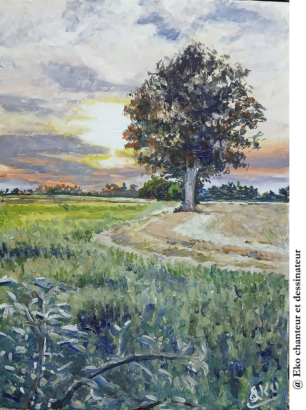 Crépuscule estival à Sanguille