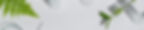 C 03_1920x400.jpg