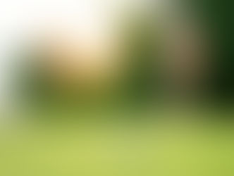 Mastering the Art of Putting: Elevating Your Short Game with Expert Golf Lessons in Singapore