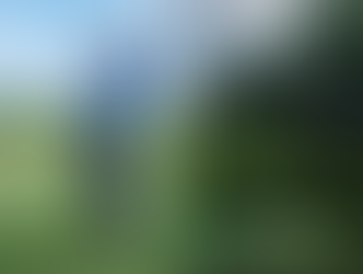 Elevating Your Game: The Future of Golf Learning and Practice in Indoor Simulators