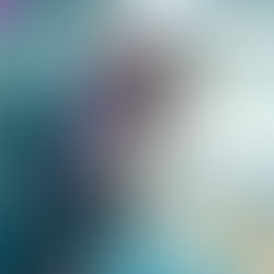 El Caso del Lanzamiento de Perfumes de Distribeaute