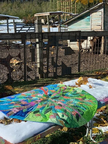 from the top a quilt by Kim Lapacek