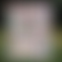 Scrappy Tree Quilt Finish