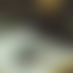 Hope Springs Eternal–Voting Time!