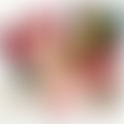 Anna Maria Horner Showcase with Aurifil Threads and Popcorn Pouch SAL