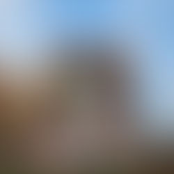 Dresden Neighborhood Sampler Quilt Finished