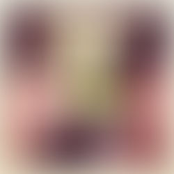 Winner of the Project QUILTING Grand Prize Package TWO