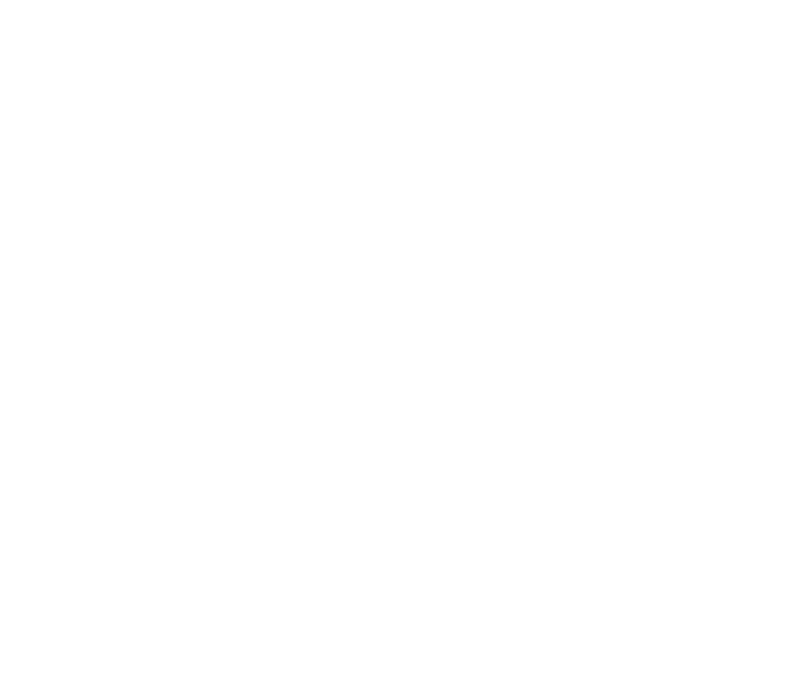 NSC-Logo-white.png