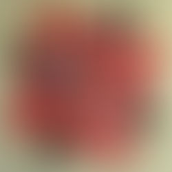 Friendship Star–A Focus Through the Prism Project QUILTING Challenge, June