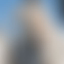 16.1 – Mythical Creatures – Challenge 1 of Project QUILTING season 16