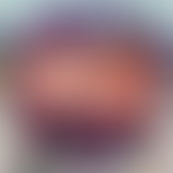 Dresden Neighborhood Color block Sew Along -Snow White