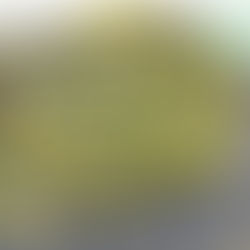 Yellow Brick Road – A Project QUILTING Quilt