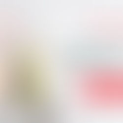 Not Quite Ready for Christmas!