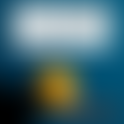 13.2 In Silhouette Summary