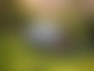 The Beauty of Unplanned Moments: Letting Go of the Itinerary