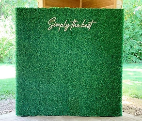 green wall_simplythebest.jpg