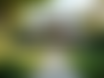 Exploring Real Estate Opportunities with WISLAT Holdings