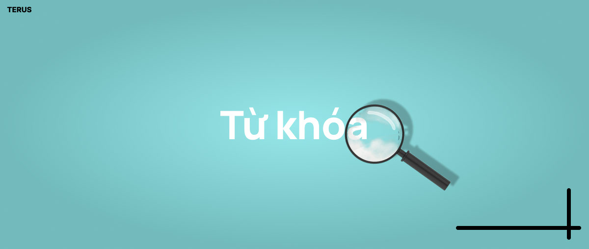 Lựa chọn từ khóa