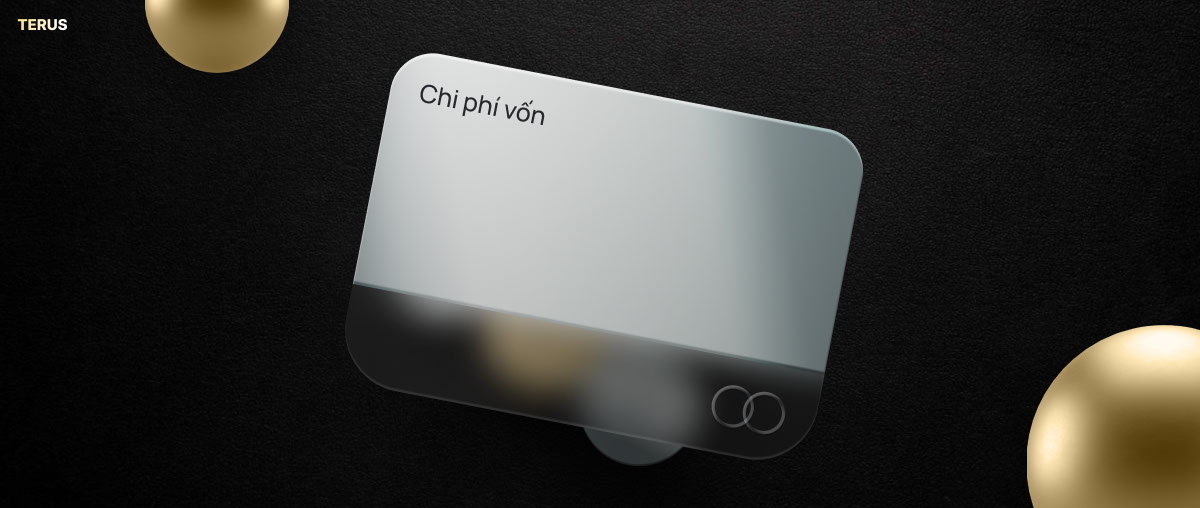 Chi Phí Vốn Là Gì? Cách Tối Ưu Hóa Chi Phí Vốn Sử Dụng