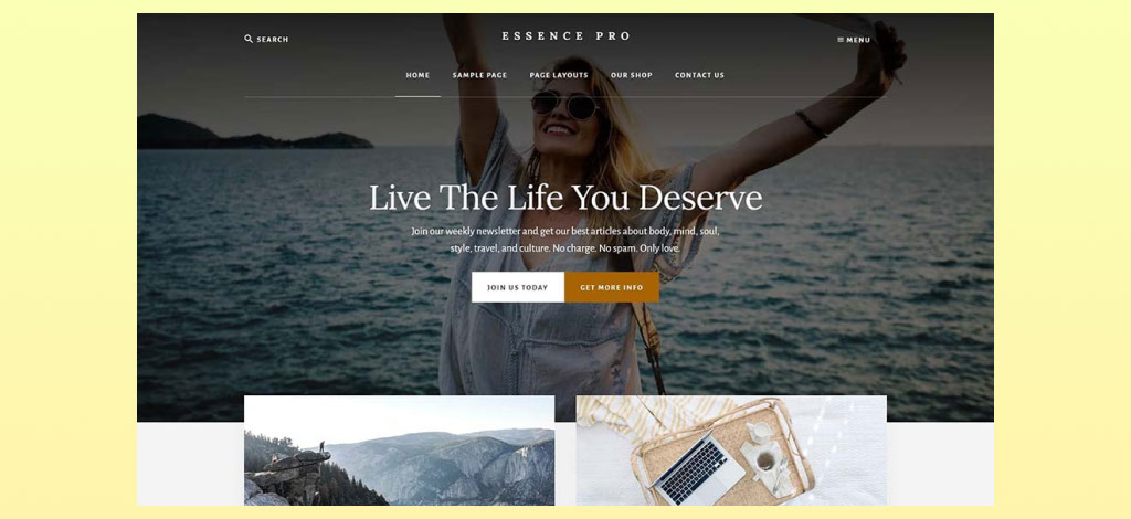 Theme Essence Pro WordPress