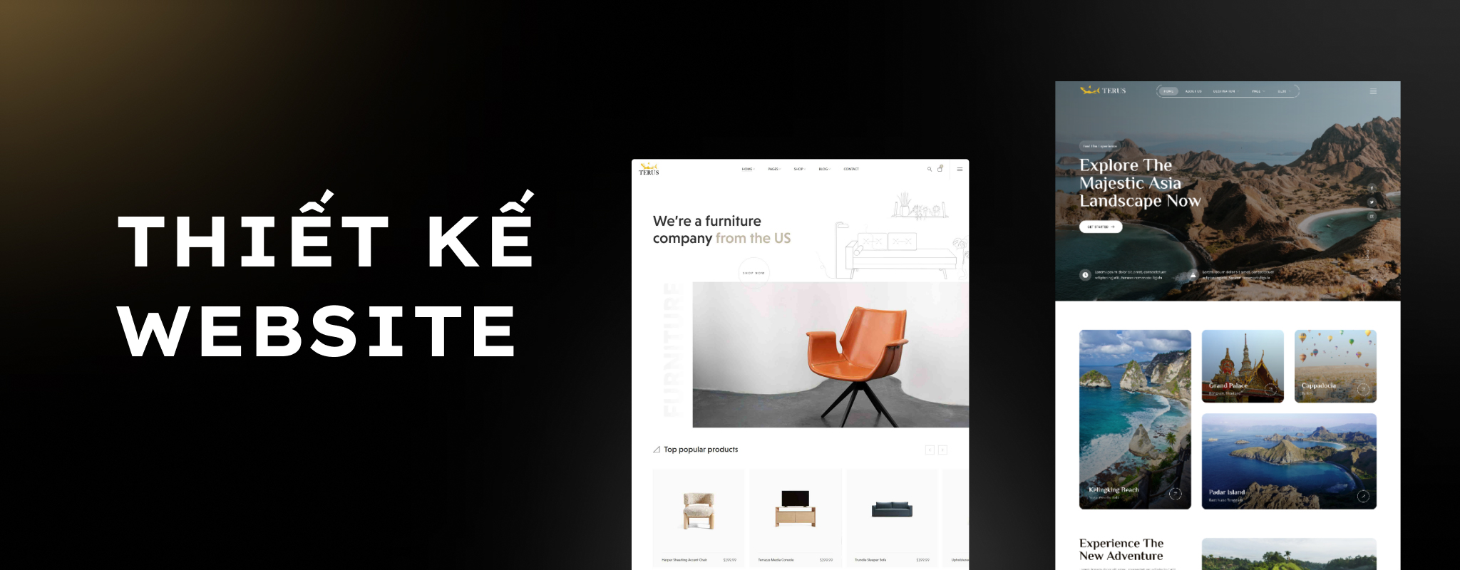Thiết kế website chuyên nghiệp
