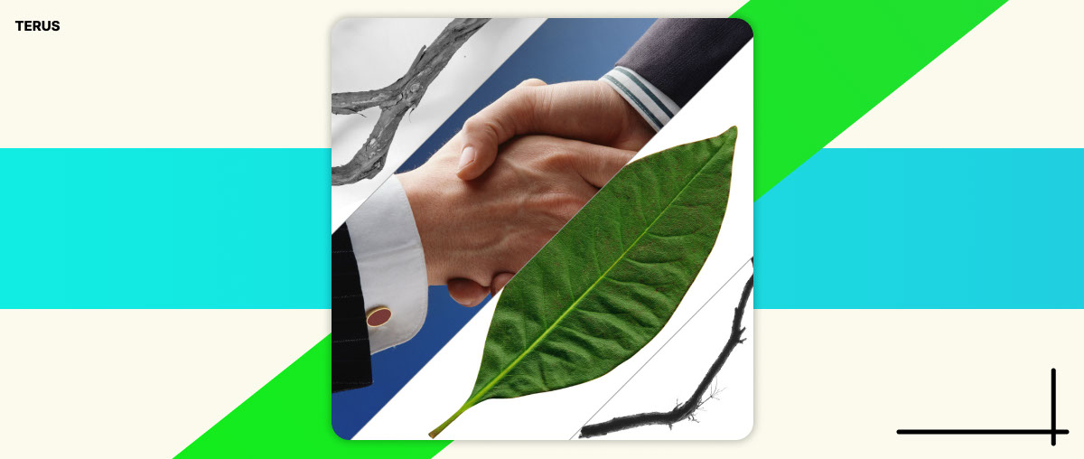 Tips 7 Cách Chốt Sale Hiệu Quả Chinh Phục Mọi Khách Hàng