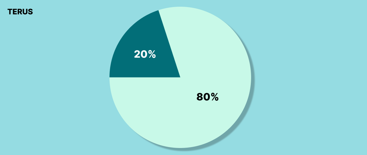 Áp dụng phương pháp 80/20 (Pareto)