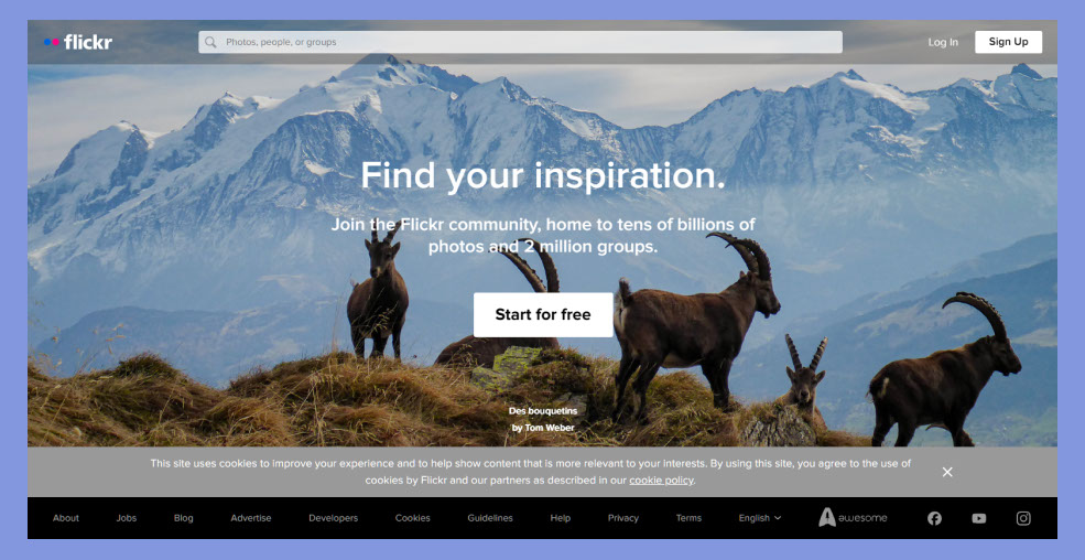 website Flickr