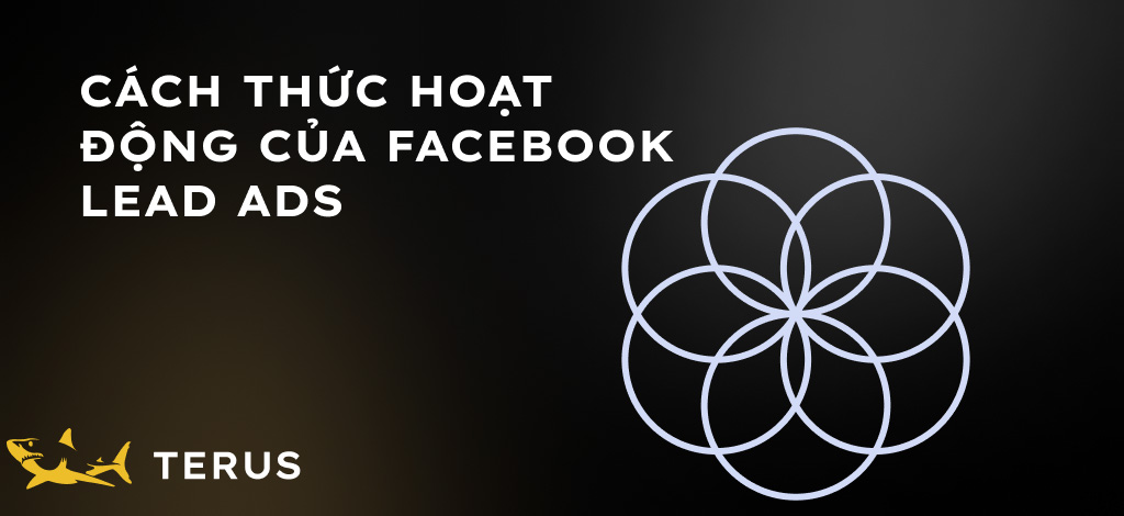 Cách thức hoạt động của Facebook Lead Ads
