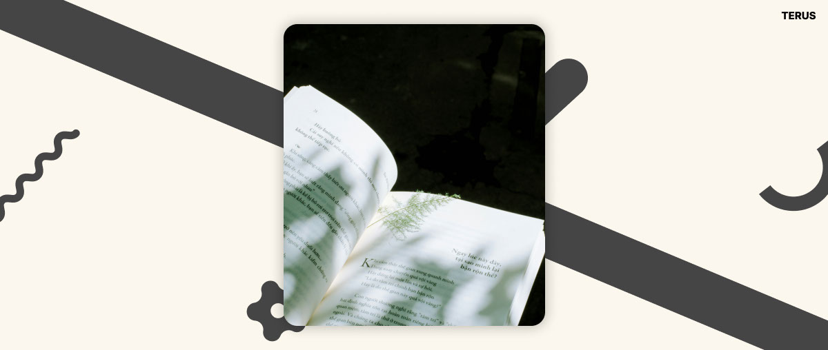 Storytelling Là Gì? Tầm Quan Trọng Của Nó Trong Content