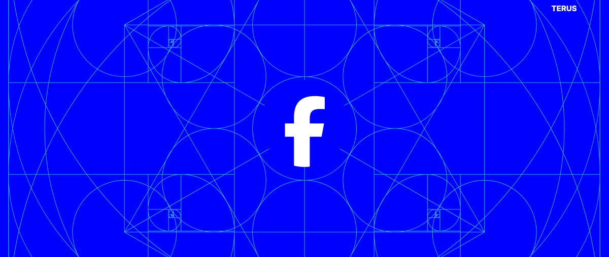 trang news feed của Terus