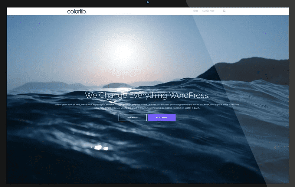 Shapely theme wordpress