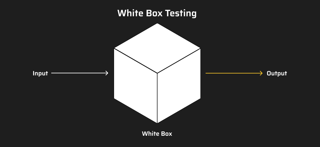 White Box Penetration Testing
