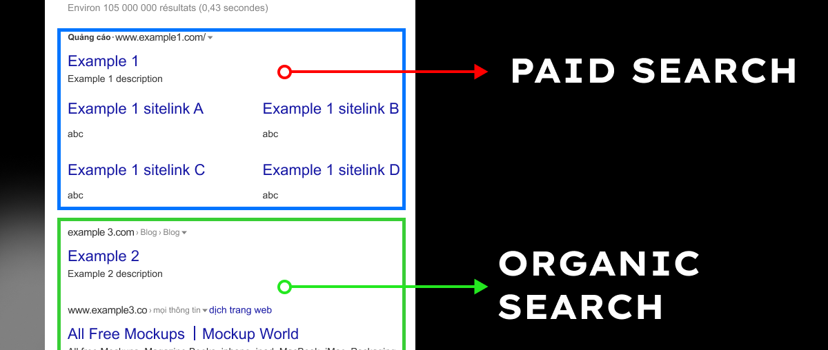 Paid Search và Organic traffic