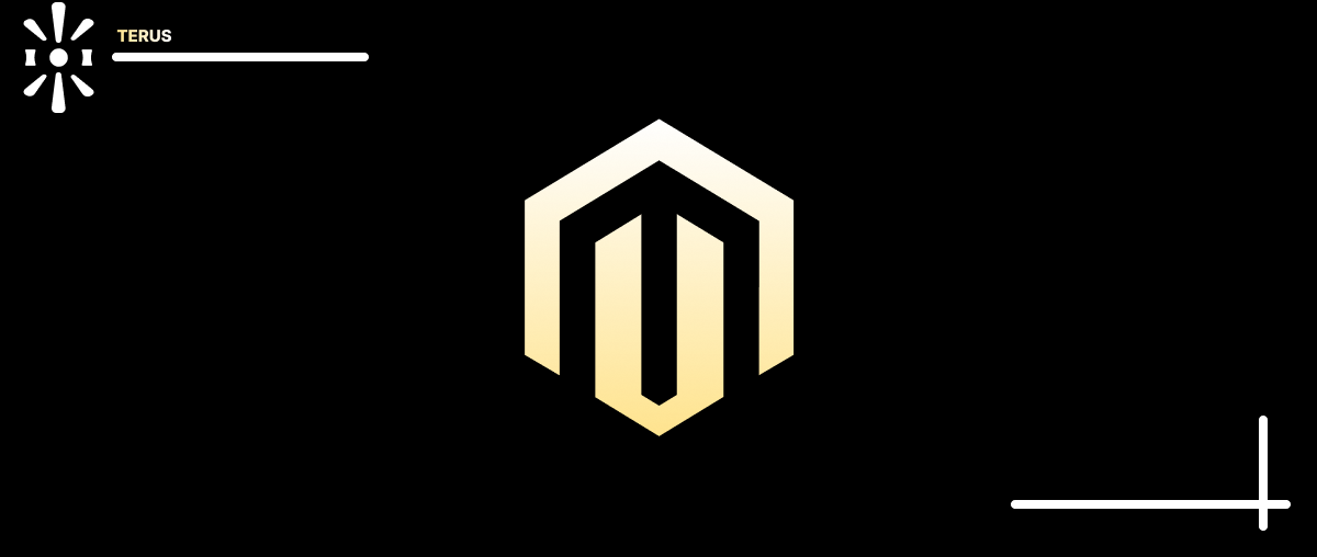 Magento Là Gì? Sức Mạnh Và Tiềm Của Magento Hiện Tại