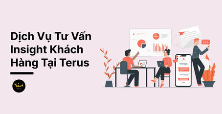 Dịch Vụ Tư Vấn Insight Khách Hàng Tại Terus