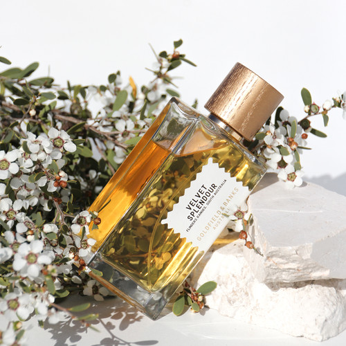 Velvet Splendour 100 ml - Goldfield and Banks | RAFINAD Niche Perfumes  E-Shop