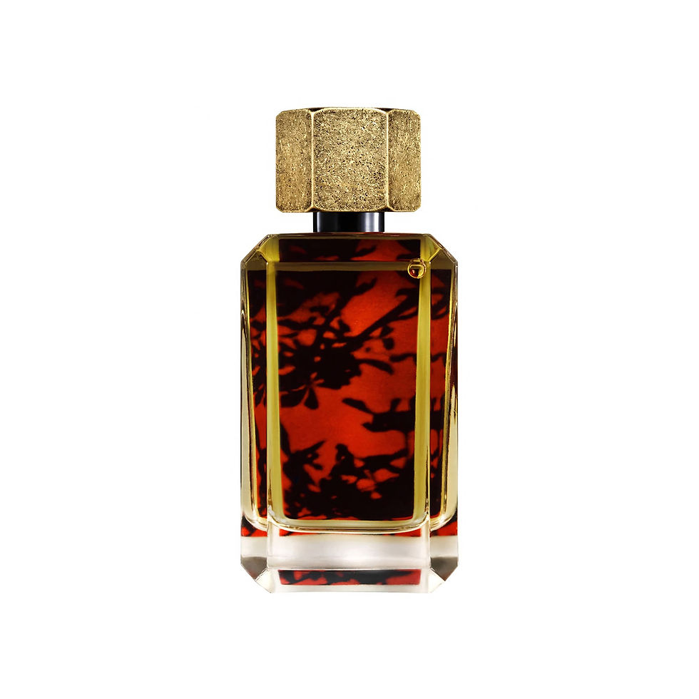 La Couleur de la Nuit, Voyages Imaginaires, 3760325210016, RAFINAD, Eau de Parfum 75 ml