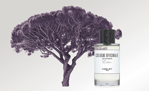 Cologne Officinale 100 ml - James Heeley | RAFINAD Niche Perfumes