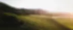 our_story_1_56fe4e82-254b-4a20-a004-3666ad38775d_2000x.webp