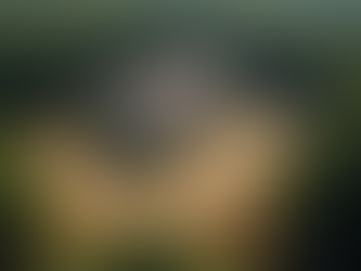 Top Strategies for Dominating ARK's Survival Ascended