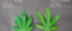 fan leaves.jpg