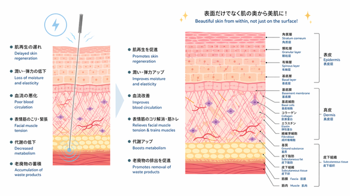 9ADA6365-312B-48AD-94E9-03C1E5CA8F26.png