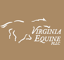 Untitled design - 2026-04-09T111243.270.png