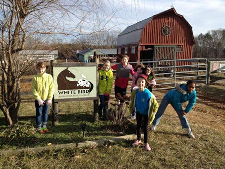 Thank You, Girl Scout Troop 985!