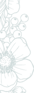 Boarder.png