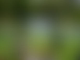 General Electric Vernova Year-End