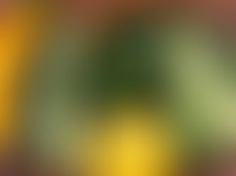 Zucchini: It's Easy Growing