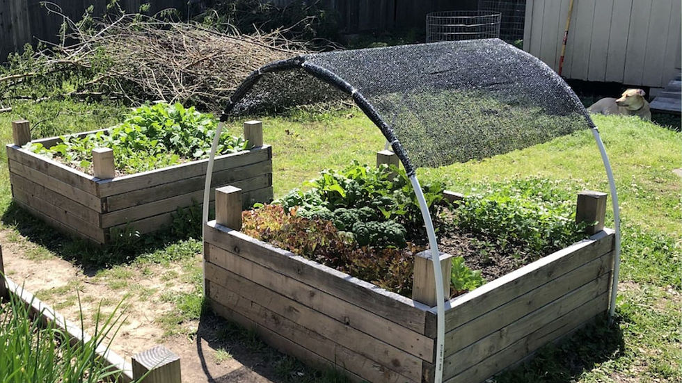 shade cloth example